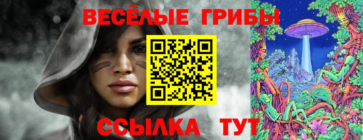 Галлюциногенные грибы MAGIC MUSHROOMS  Псилоцибиновые грибы мицелий  Коряжма  Вход с VPN 